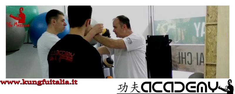 Stage di Wing Chun Kung Fu Frosinone Accademia di Wing Tjun Caserta Italia di Sifu Mezzone (28)